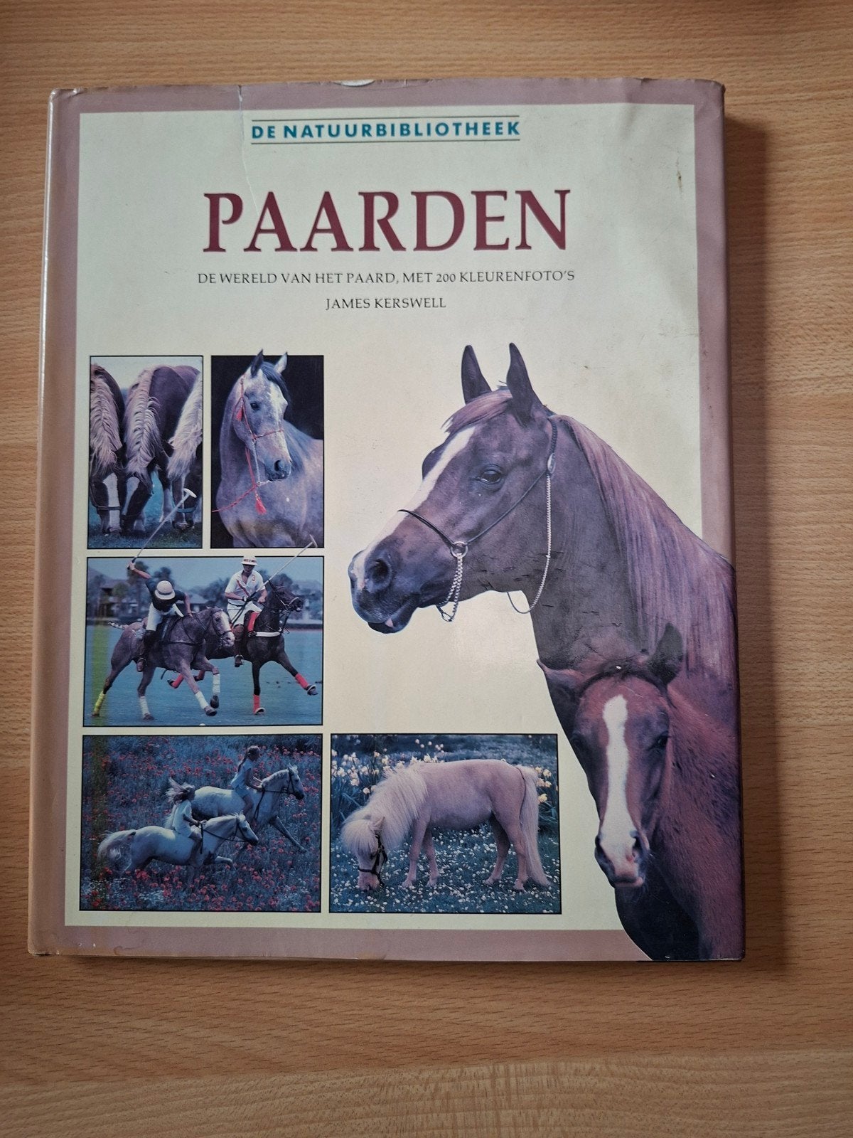 paarden, Ophalen