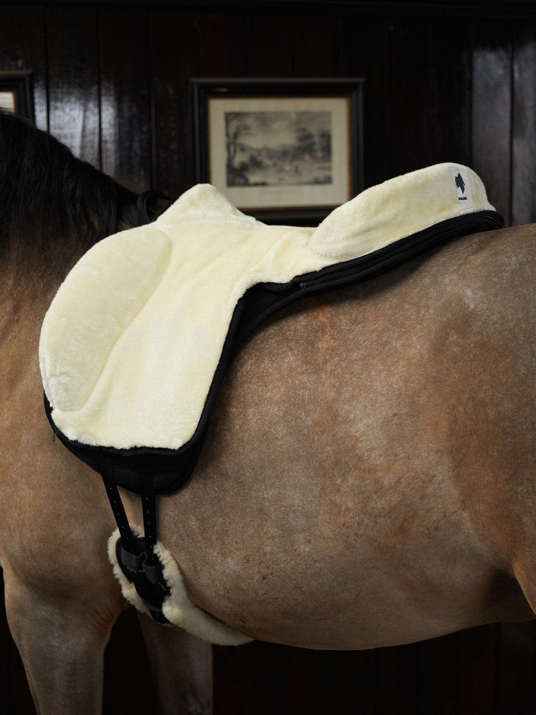 Barebackpad Nalanta  maat Full, Dieren en Toebehoren, Ophalen, Nieuw, Dressuur