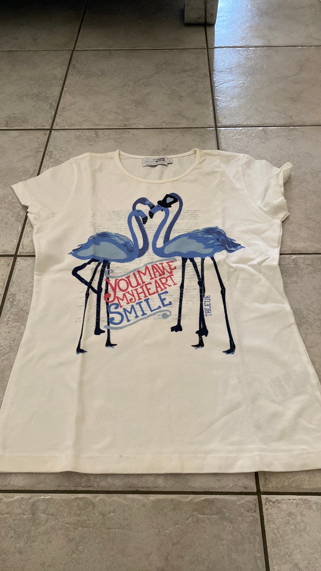Terre bleue t-shirt, Kleding | Heren, Ophalen, Zo goed als nieuw, Maat 46 (S) of kleiner, Meerkleurig