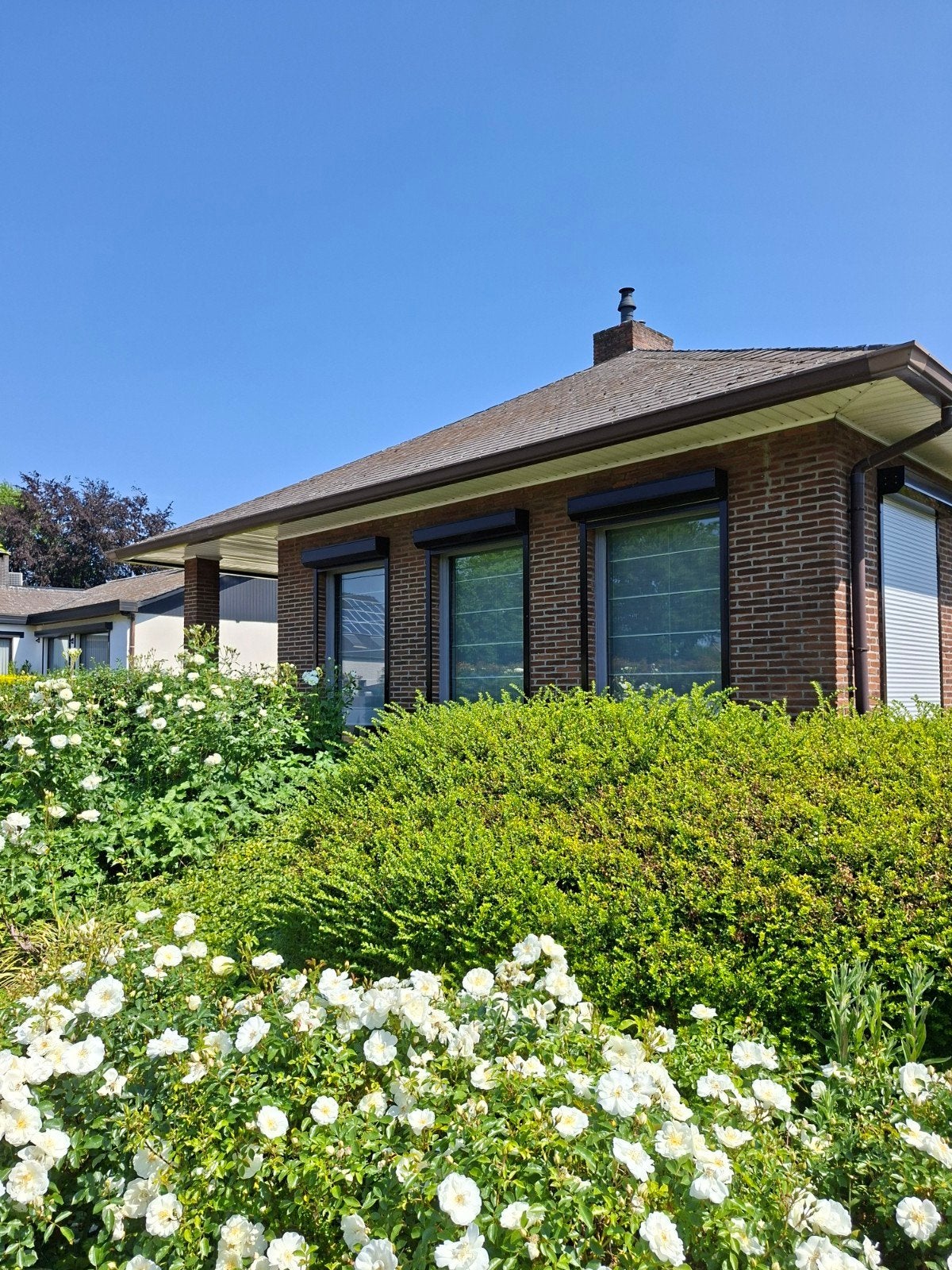 Huis uit de hand te koop Mol, Immo, 500 tot 1000 m², 195 m², 195 kWh/m²/jaar, 2400 MOL