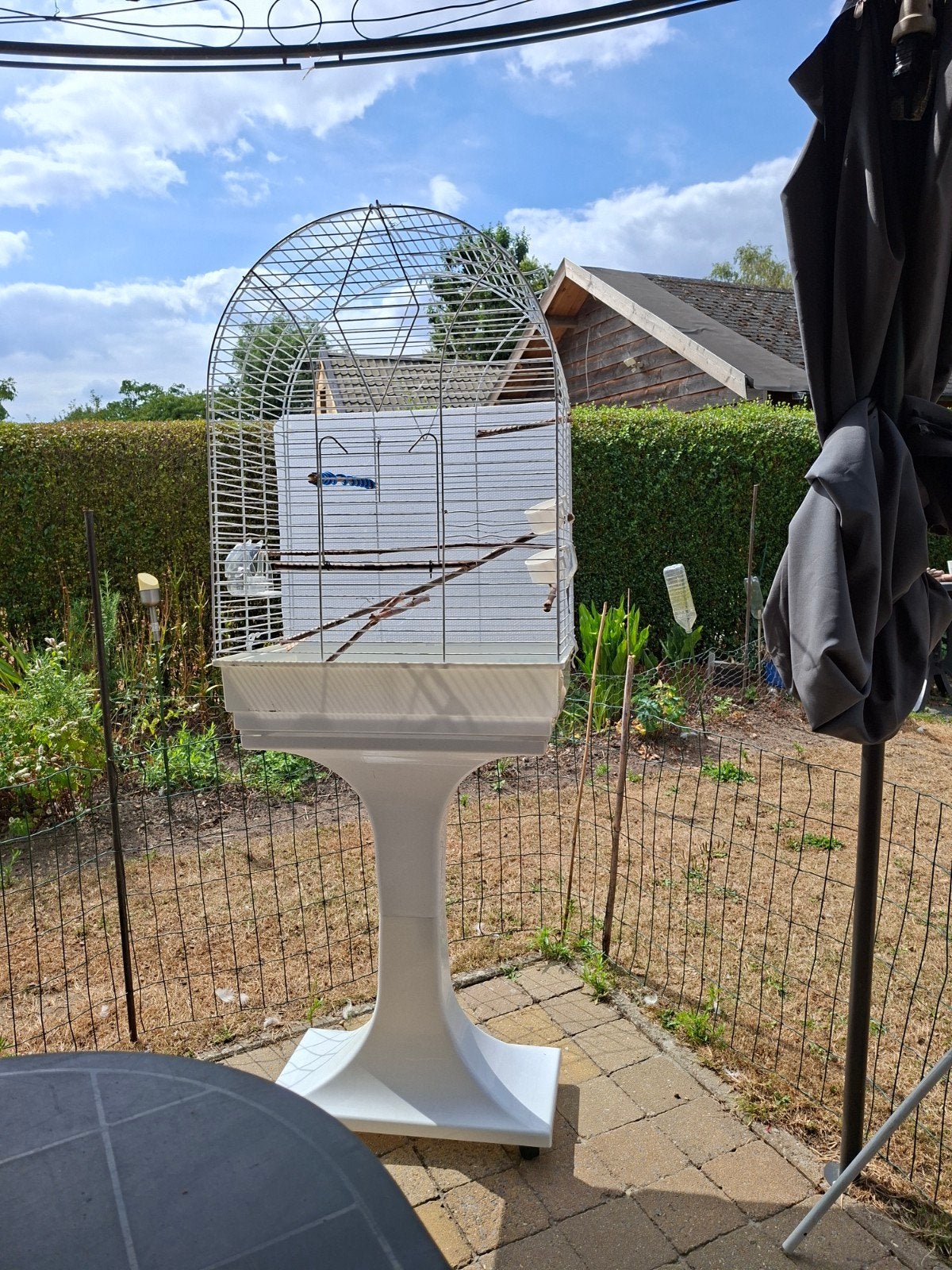 vogel kot, Ophalen