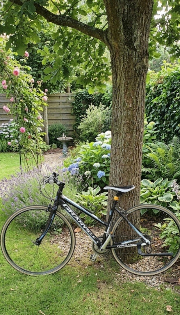 Koersfiets, Ophalen