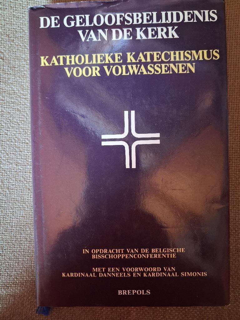 DE GELOOFSBELIJDENIS VAN DE KERK-KATECHISMUS VOOR VOLWASSENE, Livres, Religion & Théologie, Enlèvement ou Envoi, Christianisme | Catholique