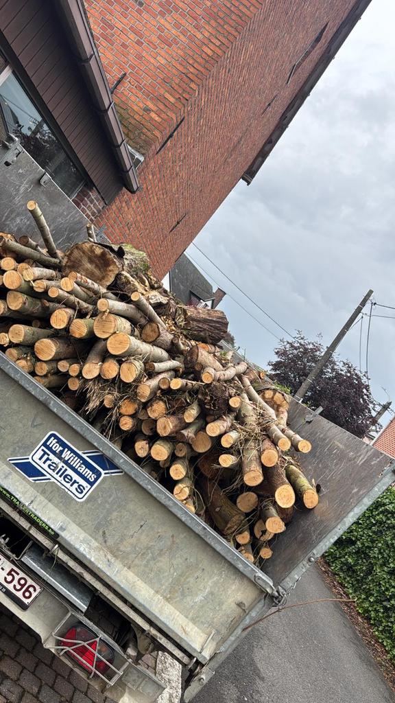 Brandhout te koop, Enlèvement ou Envoi