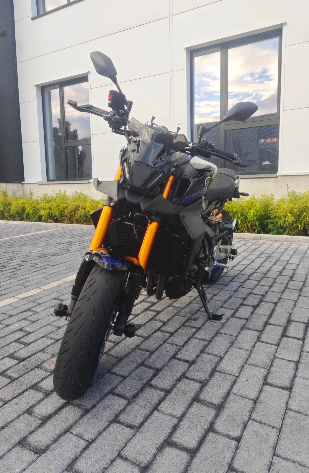 Mt09sp, Motos, Sport