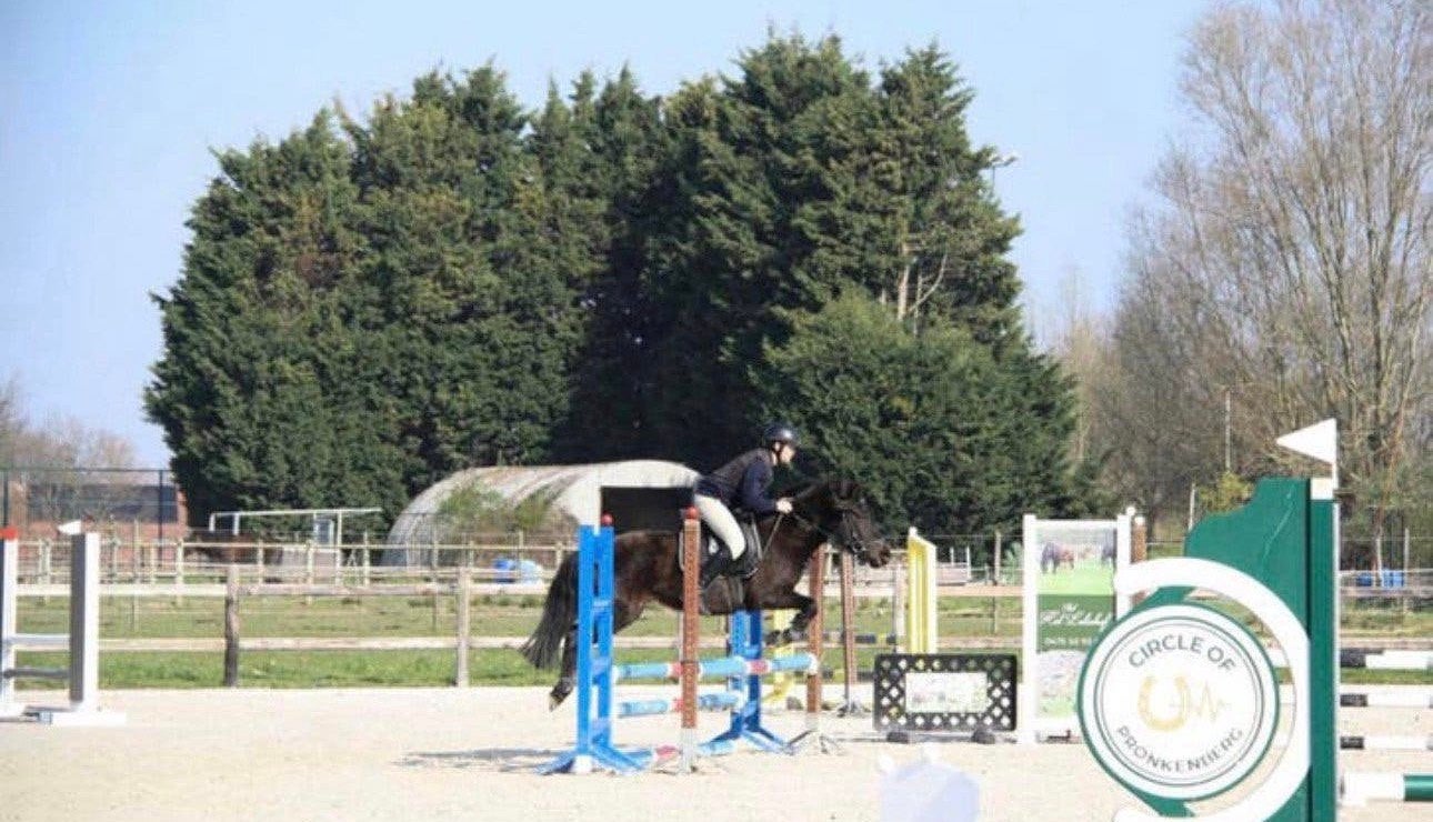 C pony te koop, Dieren en Toebehoren, Pony's, Merrie, B, 3 tot 6 jaar, C pony (1.27m tot 1.37m)