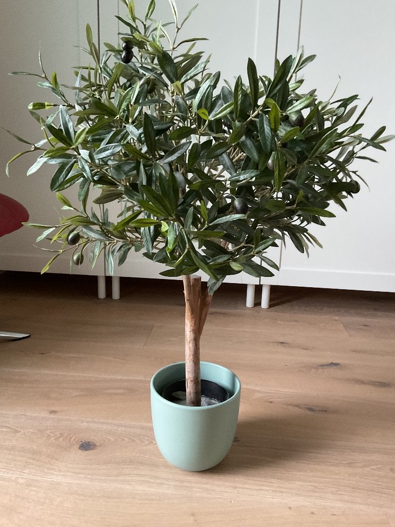 Kunst olijfboompje, Ophalen, Groen, 70 cm, Kunstplant