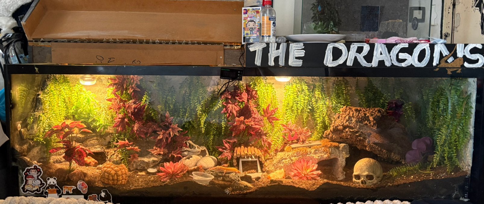 2 meter terrarium, Ophalen, Zo goed als nieuw