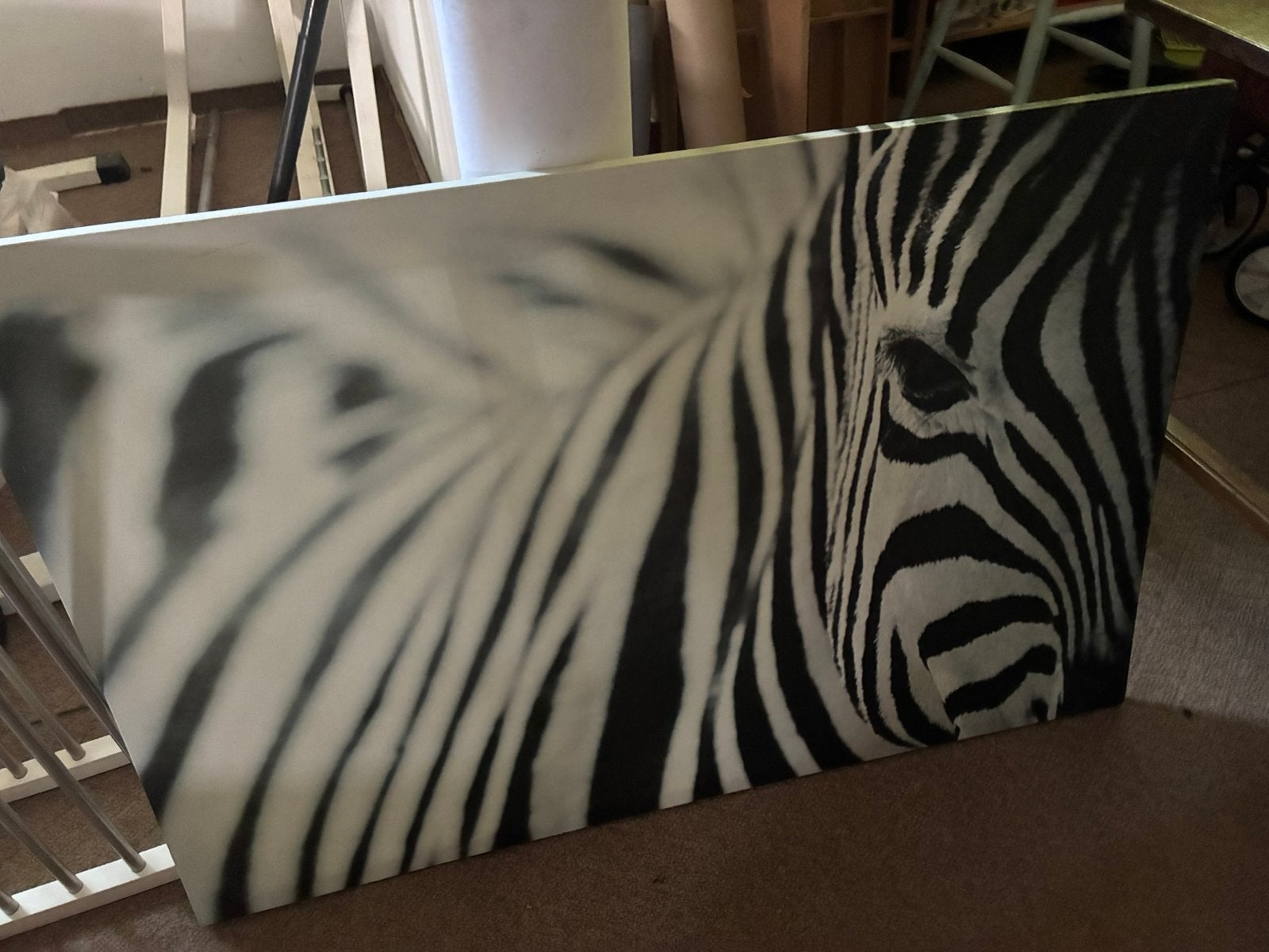 Zebra foto op doek, Verzamelen, Foto's en Prenten, Ophalen, Dier, Foto