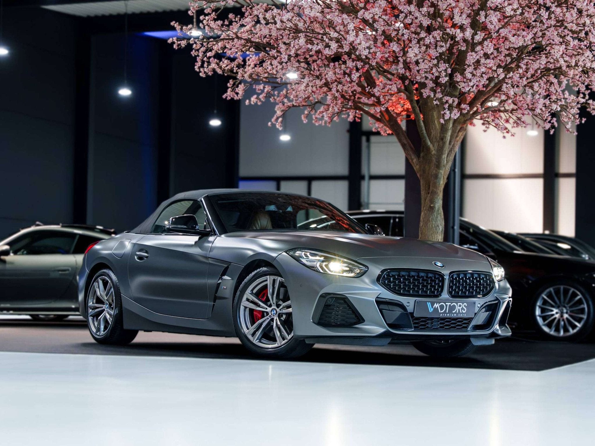 BMW Z4 sDrive20i - M Sport - ACC - M Sportzetels - Memory -, Cuir, Argent ou Gris, Euro 6, Entreprise