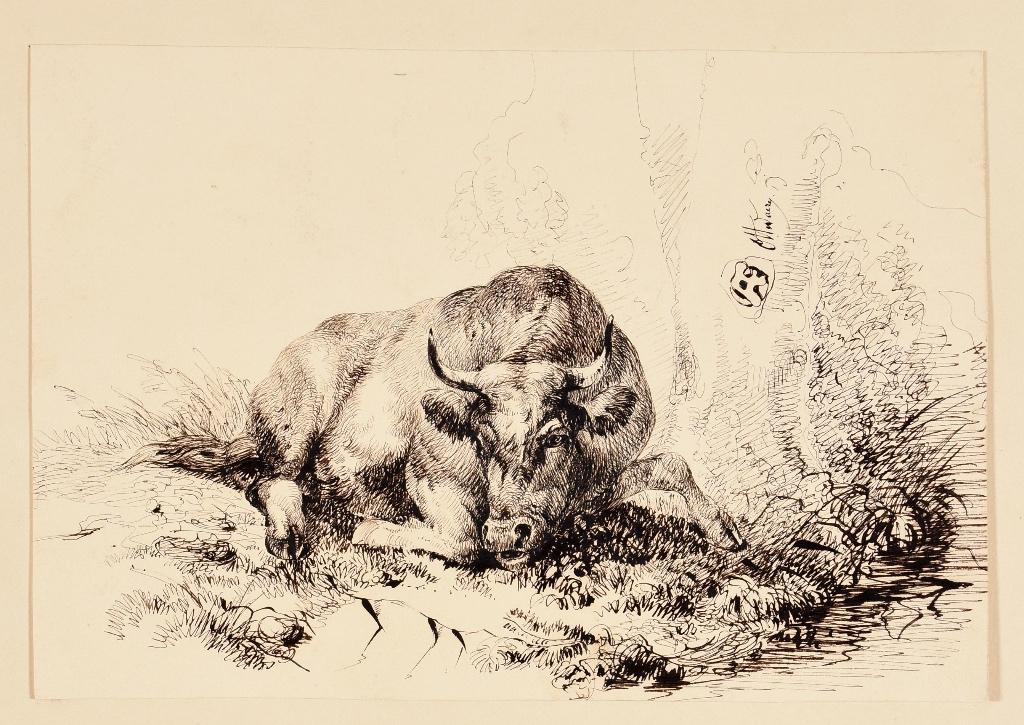 OTTEVAERE aug.  1809-1856  tekening inkt stier, Ophalen of Verzenden