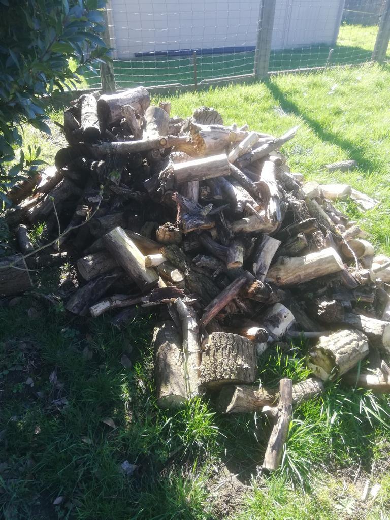 Tuin, Tuin en Terras, Brandhout, Ophalen