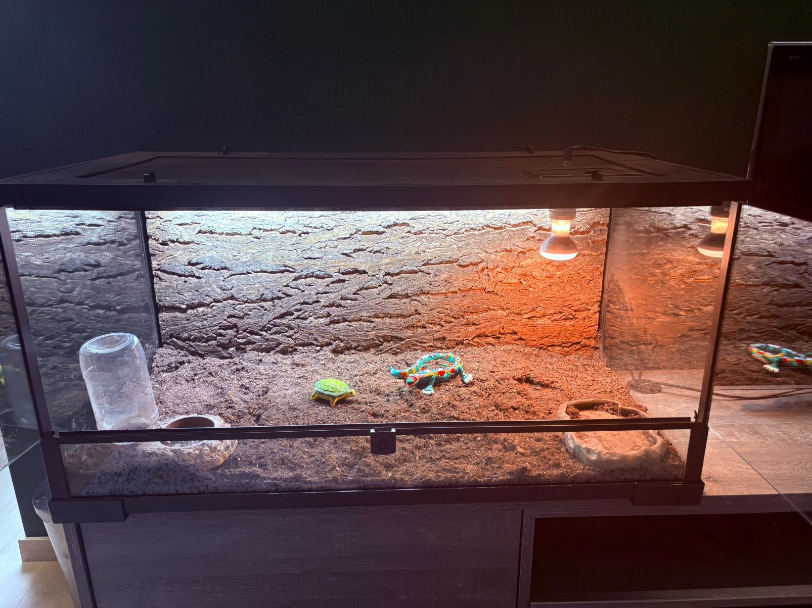 Terrarium - instapklaar, Dieren en Toebehoren, Ophalen, Gebruikt, Terrarium of Paludarium