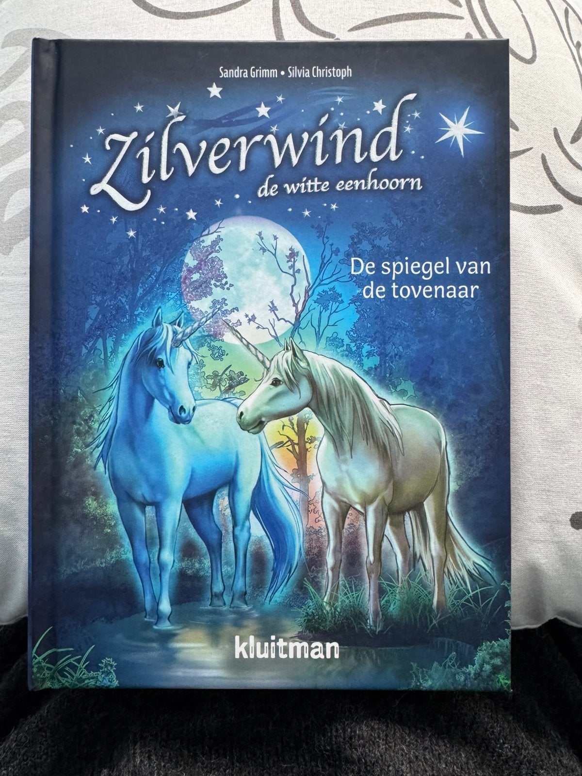De spiegel van de tovenaar - Sandra Grimm, Ophalen, Zo goed als nieuw, Fictie