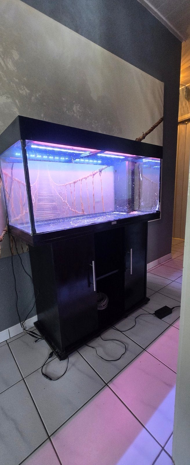 aquarium Juwel Rio 180 litres noir avec armoire d'accompagne, 90 cm ou plus, Chinchilla, 75 à 110 cm, Enlèvement