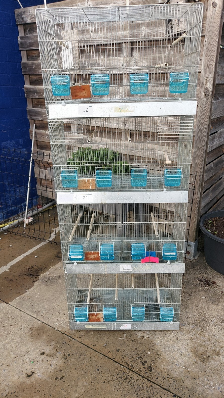 kweekkooien  64 l 40h30 d, Dieren en Toebehoren, Ophalen, Zo goed als nieuw, Metaal, Broedkooi of Kweekkooi