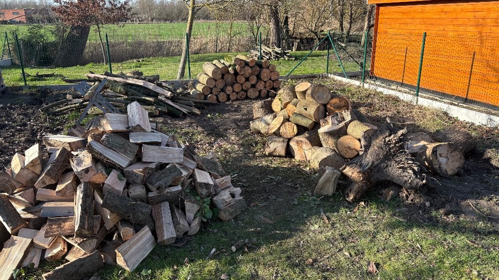 Ik kap uw loofboom gratis in ruil voor het hout, Enlèvement, Troncs d'arbres