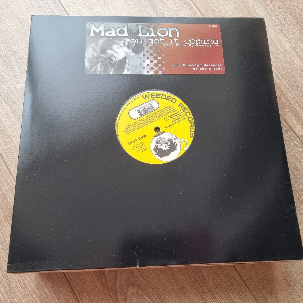 12" Mad Lion – You Got It Coming (The Remixes), CD & DVD, Vinyles Singles, 12 pouces, Enlèvement ou Envoi, 1990 - 1999, Utilisé