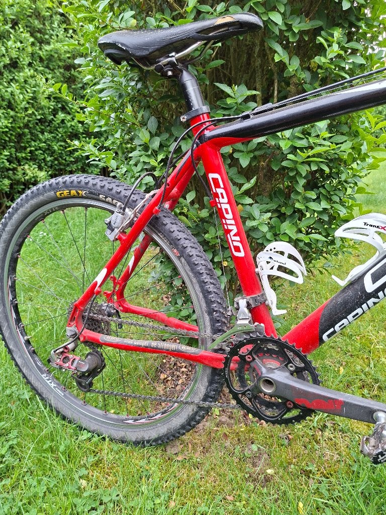 Mountainbike, Frein sur jante, 49 à 53 cm, Enlèvement, Utilisé
