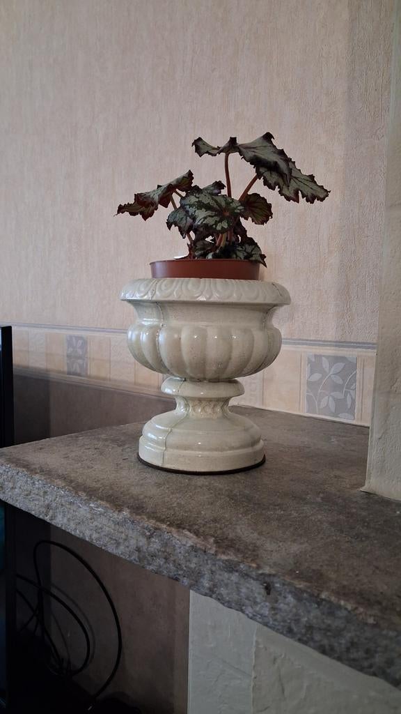 Vase artisanal en béton laqué, Enlèvement, Blanc