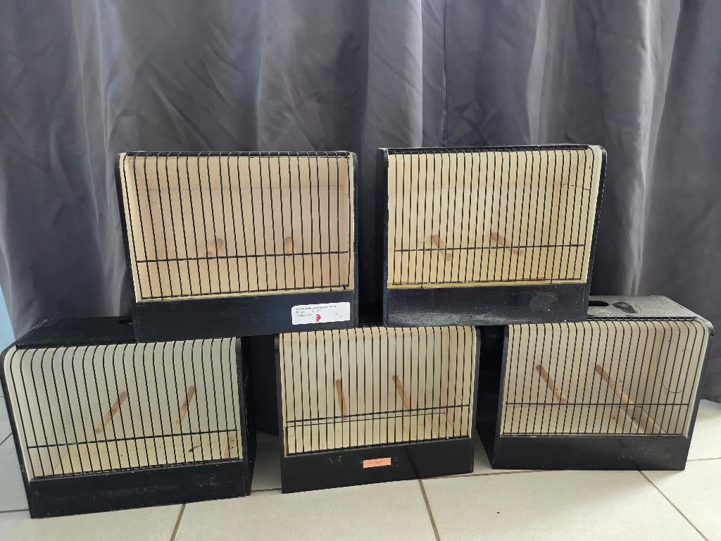 Cages exposition oiseaux, Enlèvement, Utilisé, Bois, Cage à oiseaux