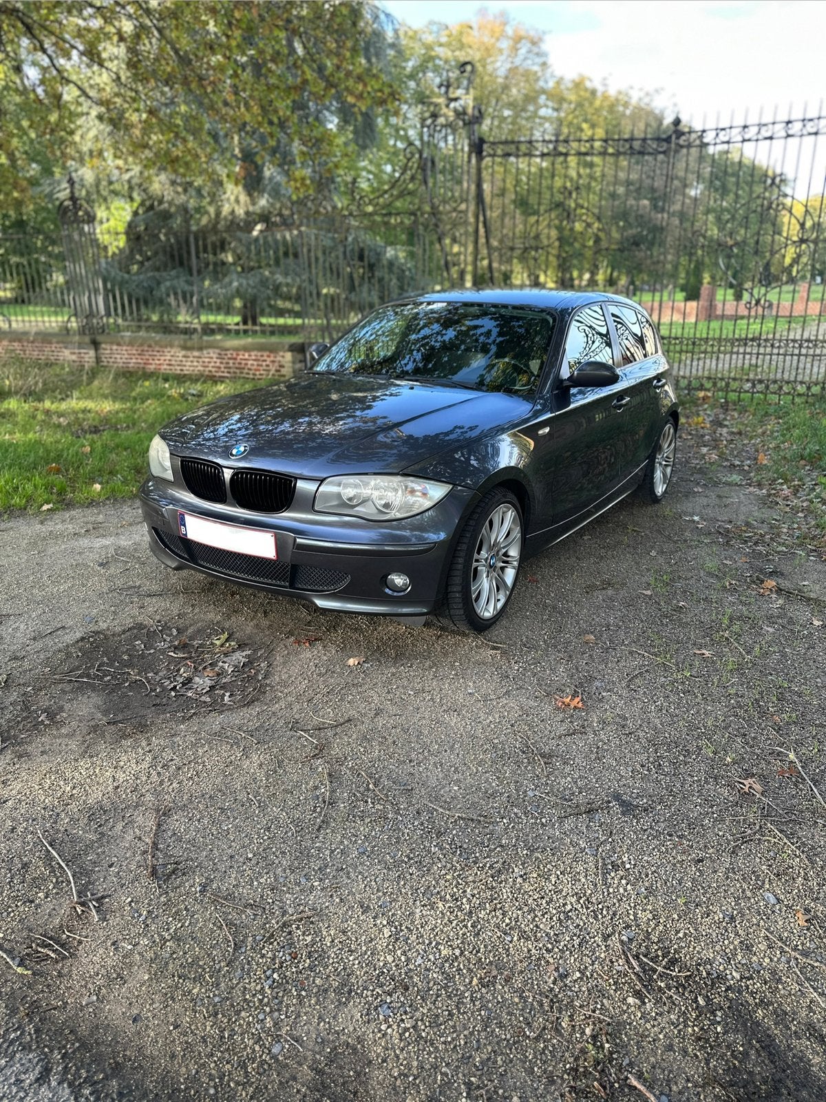 BMW 116 i, Autos, Argent ou Gris, Achat, Noir, 5 portes