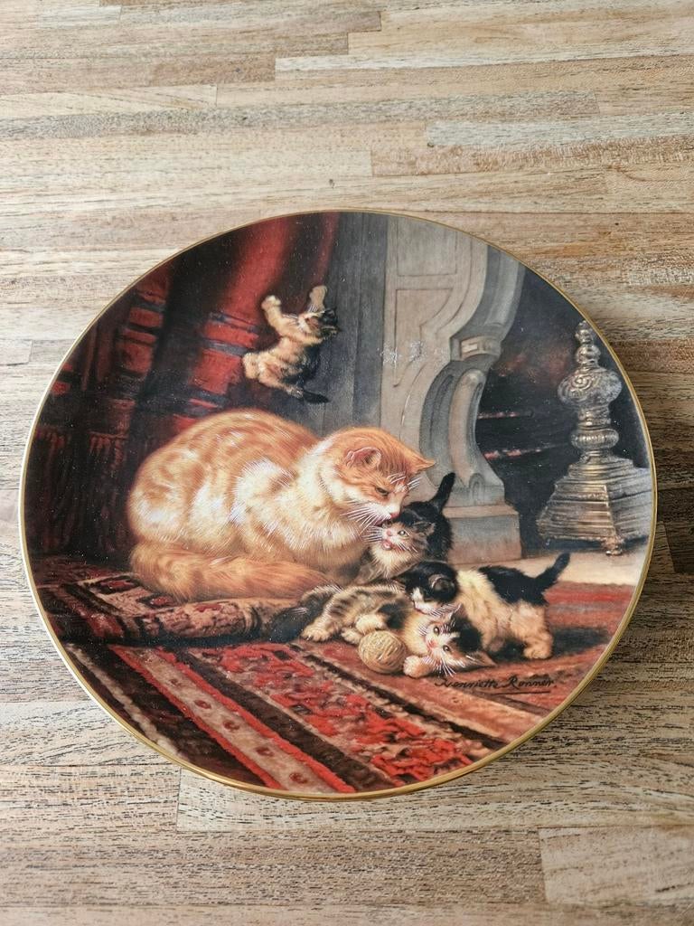 Bord katten Bradex, Ophalen