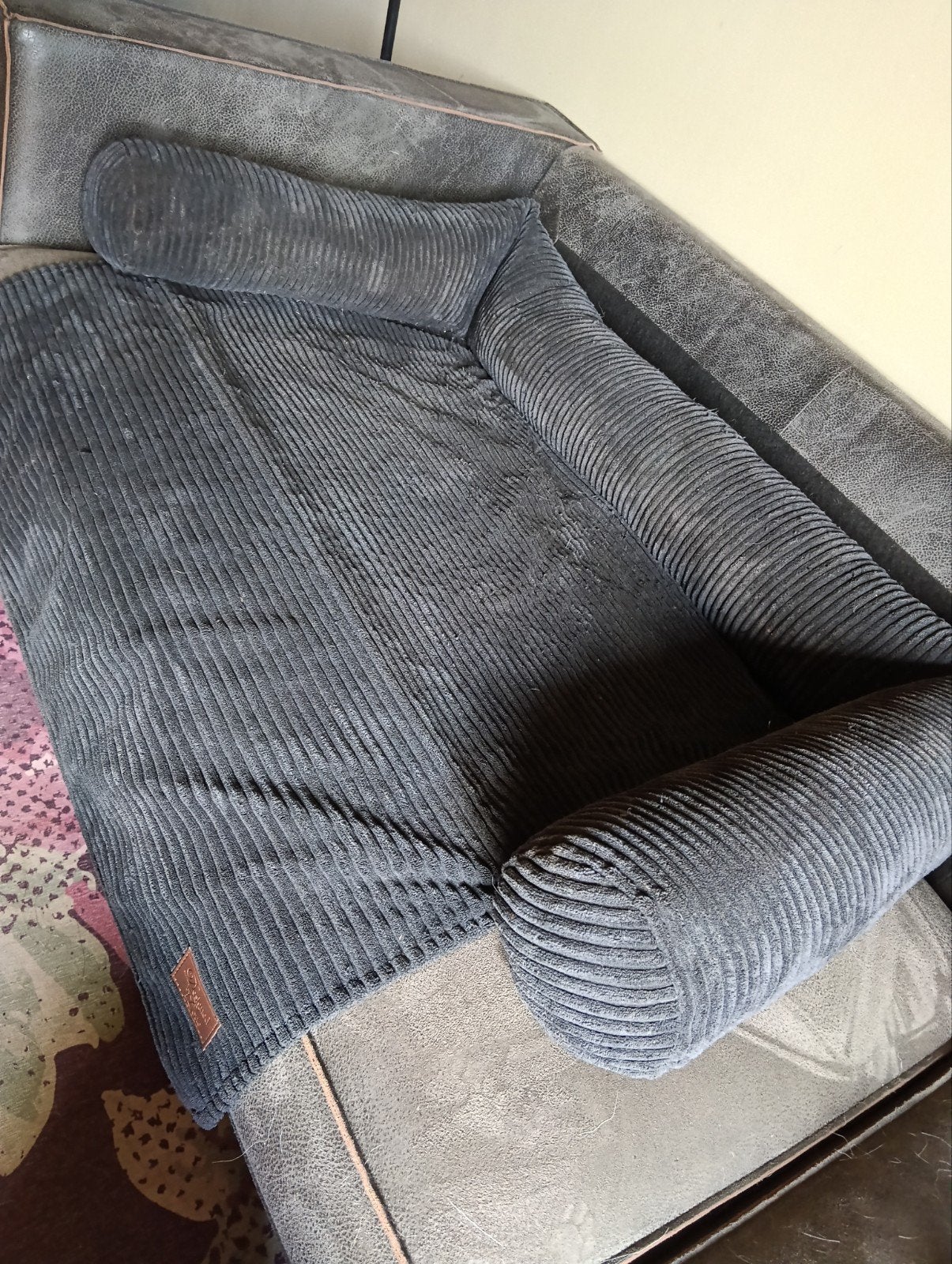 honden kussen voor de sofa, Enlèvement