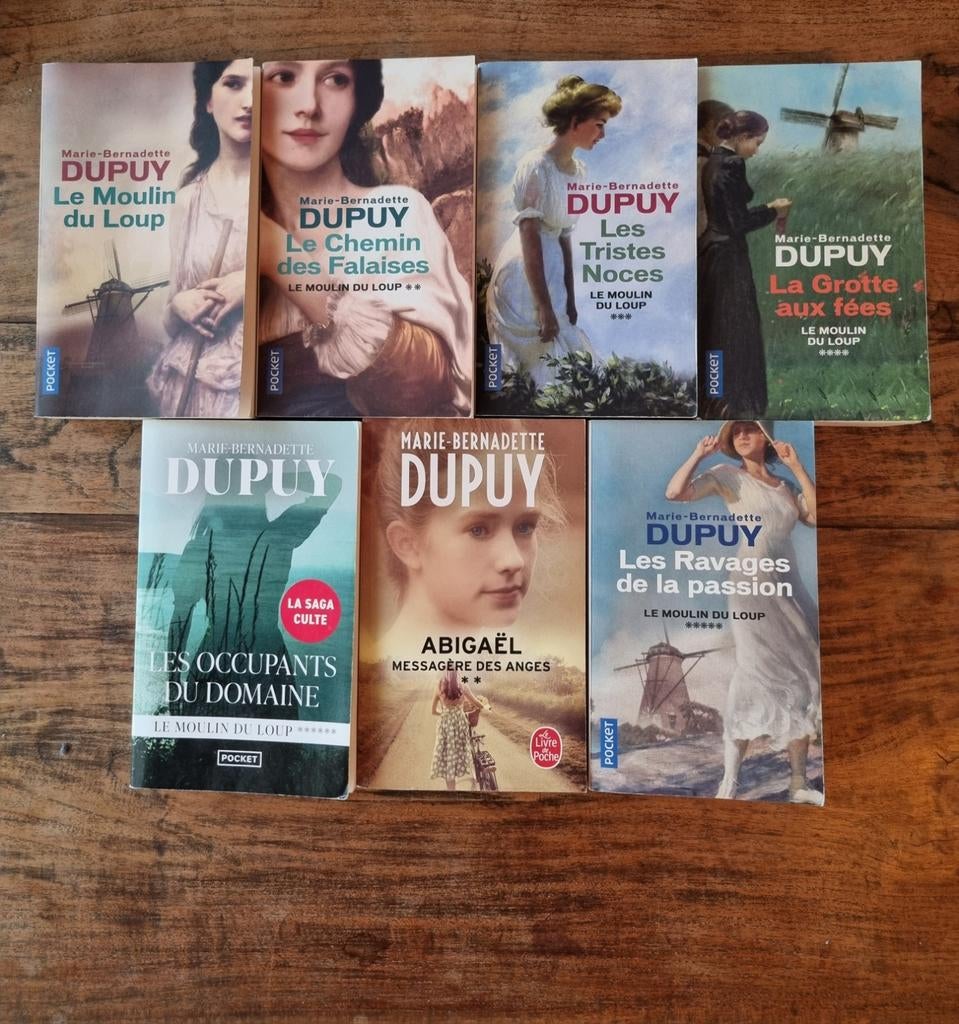 Marie bernadette dupuy livre poche