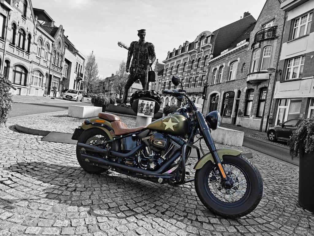 Harley Davidson Softail slim s, Motoren, Motoren | Harley-Davidson, Particulier, Cruise Control