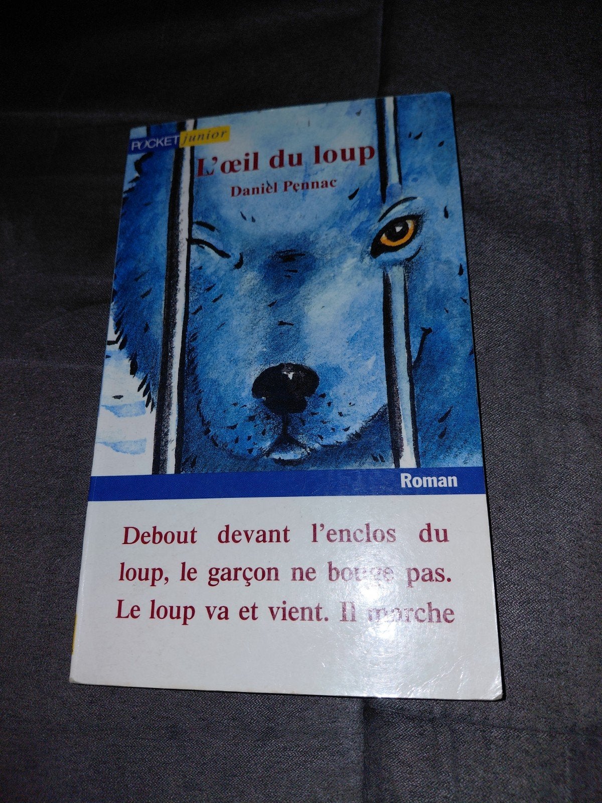 Livre l'œil du loup, Boeken, Fantasy, Ophalen