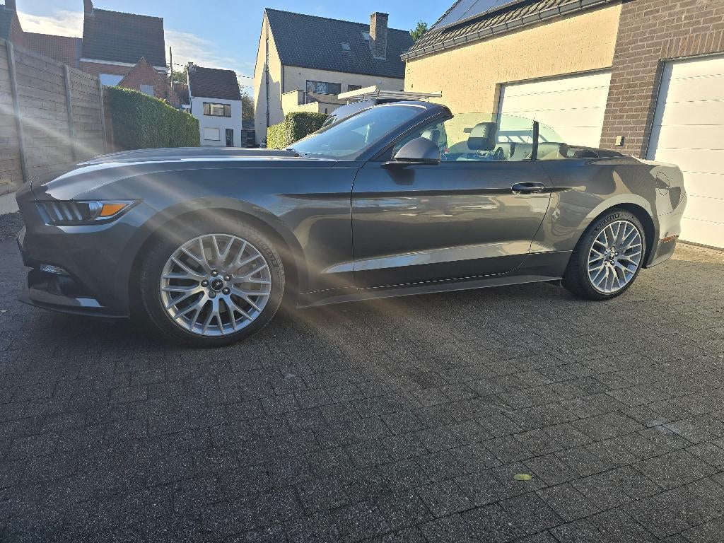 Mustang 2.3 cabrio, Cuir, Argent ou Gris, Achat, Euro 6