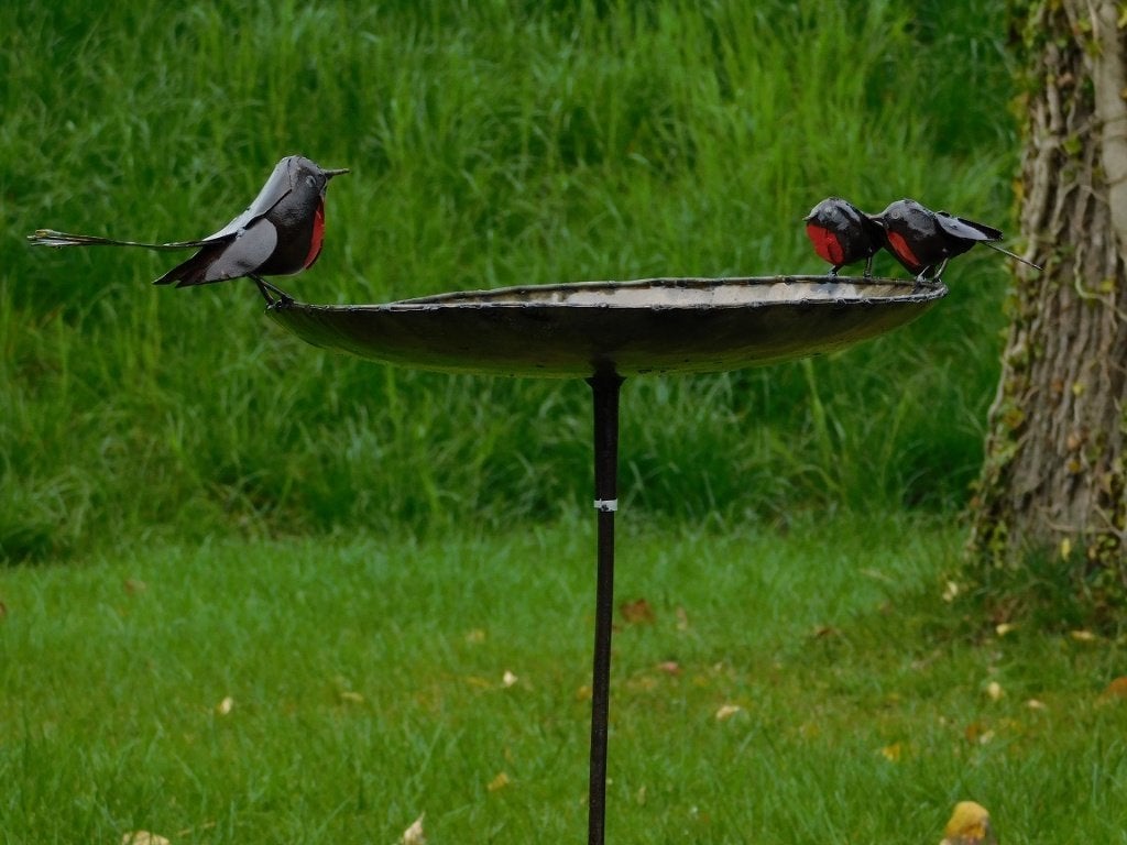 Vogelbad - Zwart met Vogeltjes 2 om 1 - Tuinsteker, Ophalen of Verzenden