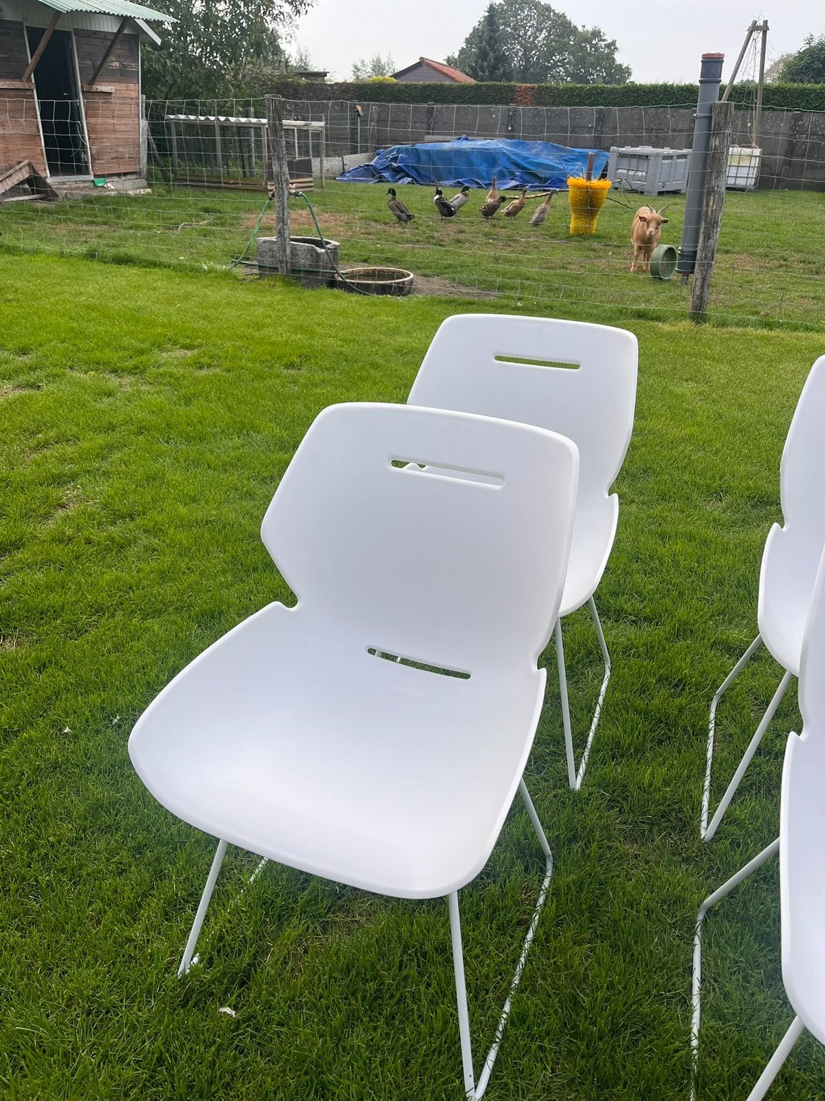 6 stoelen Tooon, Huis en Inrichting, Ophalen, Kunststof, Wit, Zo goed als nieuw