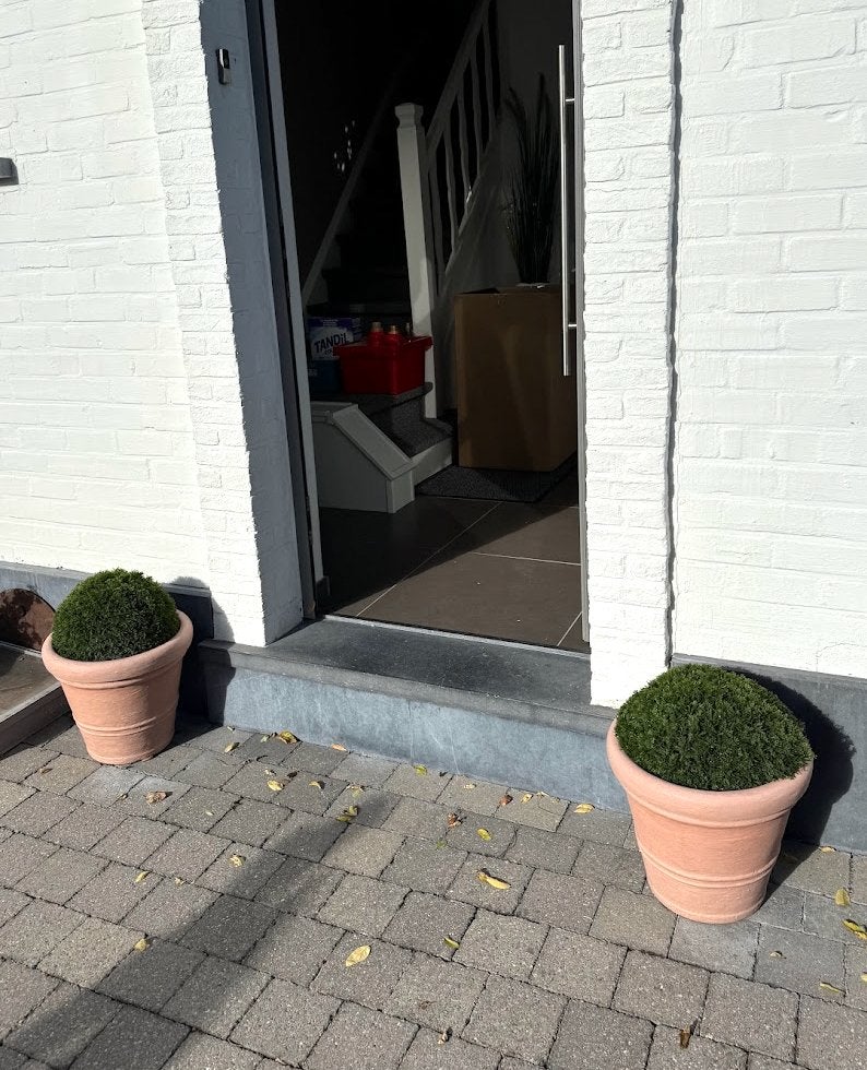 kunststof pot met valse struik, Tuin en Terras, Ophalen, Kunststof