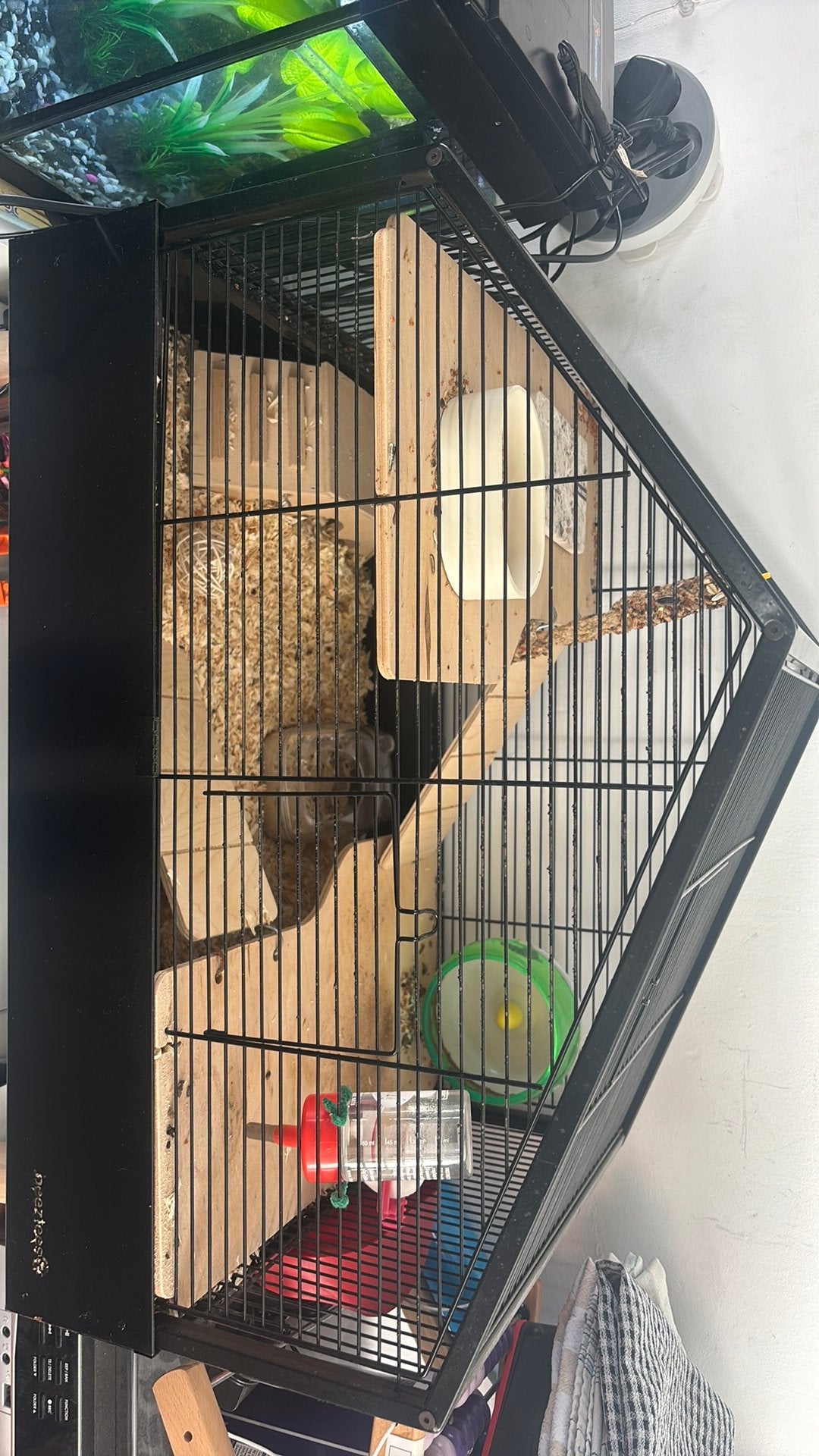Hamster + kooi, Ophalen, Kooi, Hamster