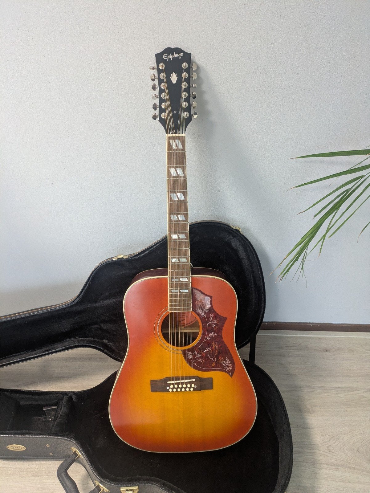 Epiphone Hummingbird 12 string, Muziek en Instrumenten, Ophalen of Verzenden