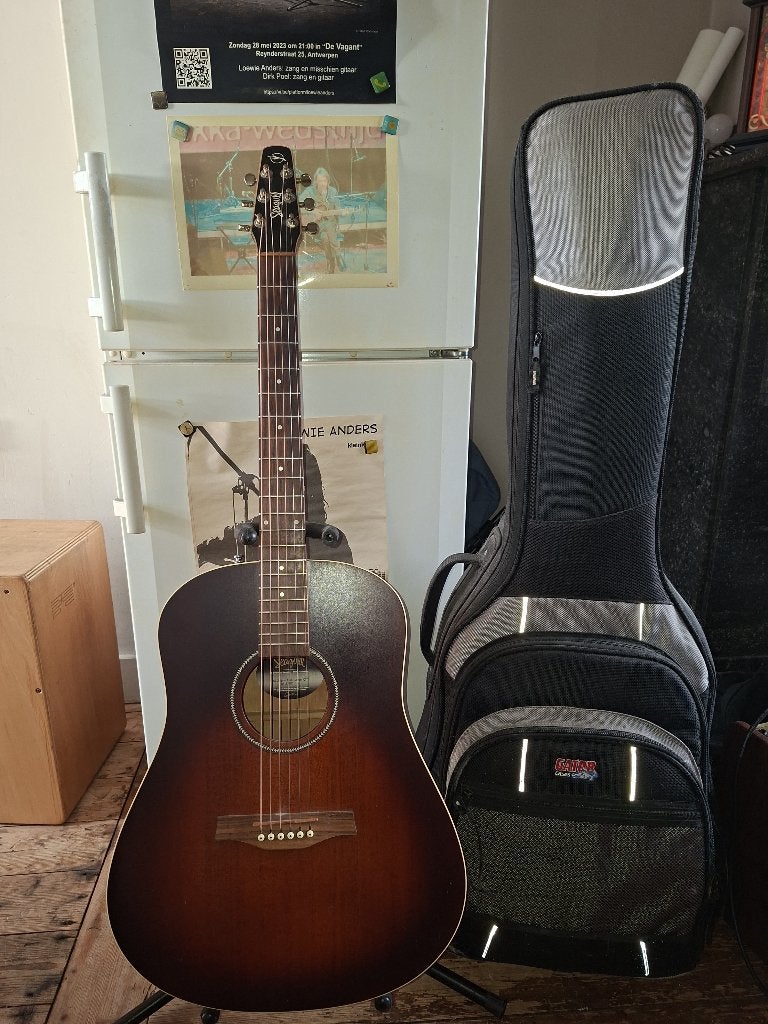 Zanginstallatie, Musique & Instruments, Instruments à corde | Guitares | Acoustiques, Comme neuf, Autres types, Avec valise, Enlèvement