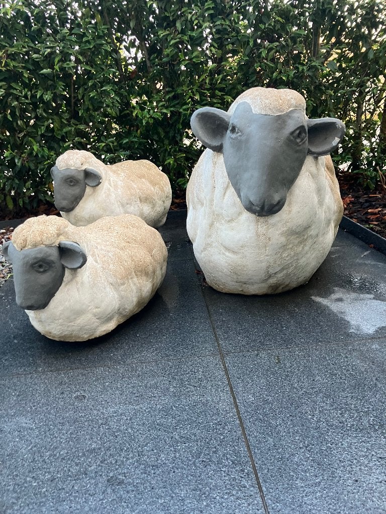 Schapen voor tuin, Tuin en Terras, Ophalen, Gebruikt, Beton, Overige typen