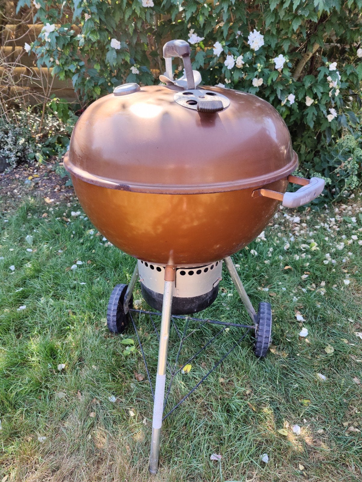 Weber houtskool BBQ op, Tuin en Terras, Houtskoolbarbecues, Ophalen, Gebruikt, Weber