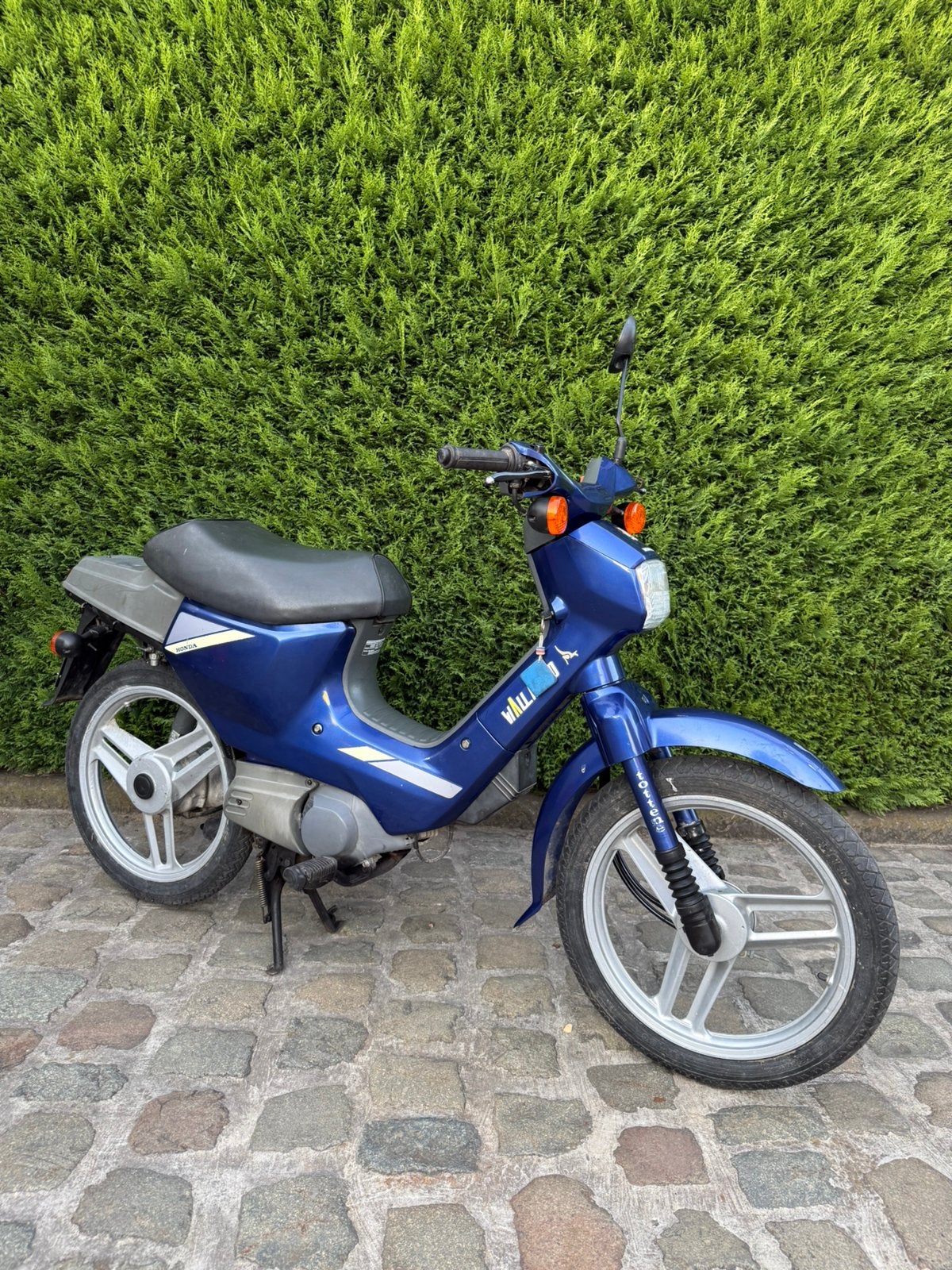 Honda Wallaroo, Autres modèles, 0 vitesses, 49 cm³, Classe B (45 km/h)