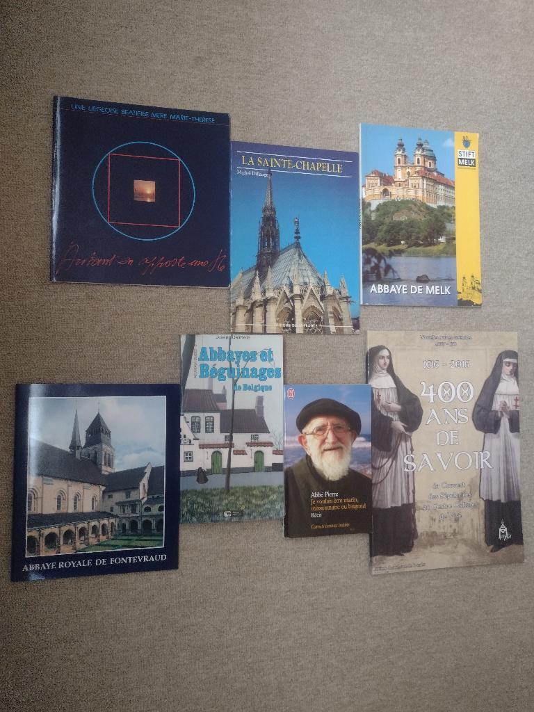 Lot " religion " diverses abbayes, Sainte-Chapelle et autres, Livres, Religion & Théologie, Utilisé, Christianisme | Catholique