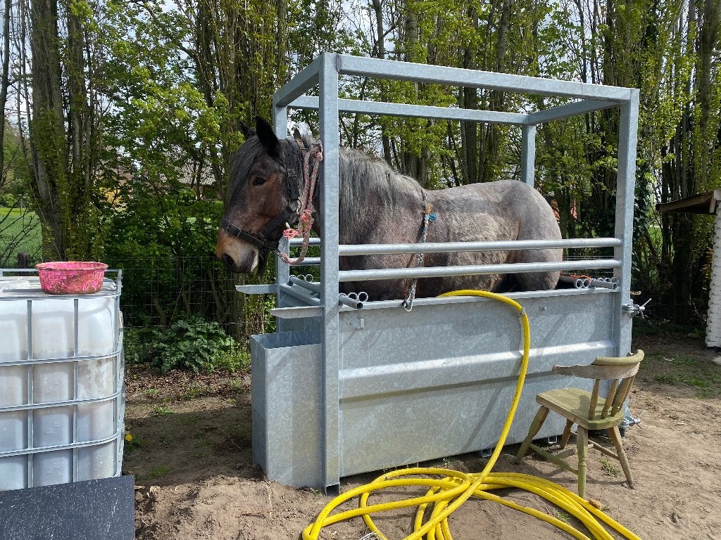 Paardenbad