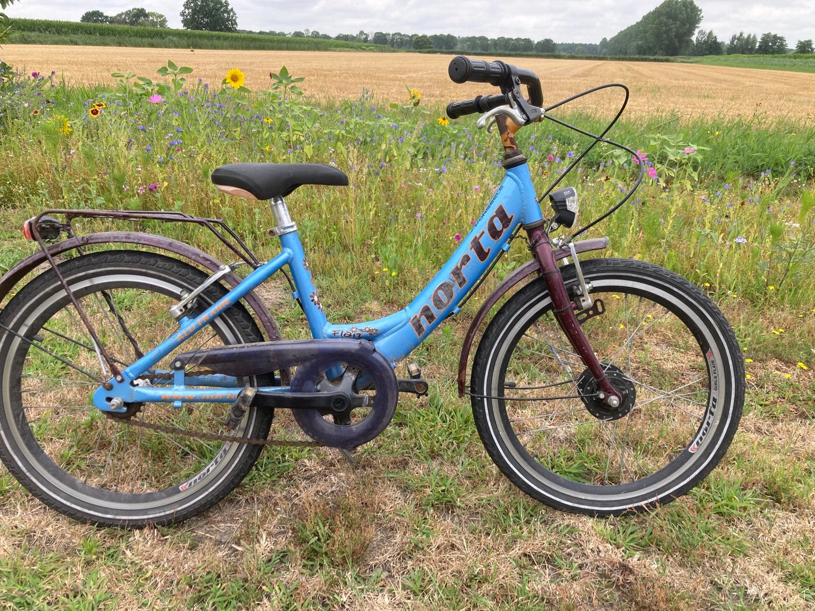 Norta kinderfiets, Fietsen en Brommers, Ophalen, Zo goed als nieuw, 20 inch