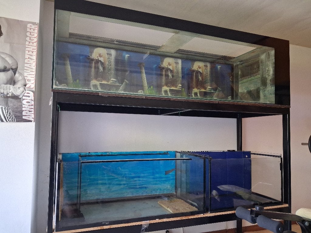 3 aquaria 200 cm, Ophalen, Inclusief deksel, Gebruikt, Leeg aquarium