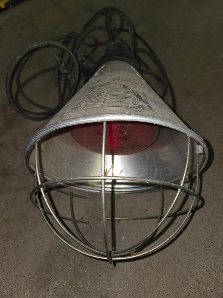 Lampe chauffante / lampe infrarouge avec protection, Animaux & Accessoires, Volatiles | Accessoires, Enlèvement