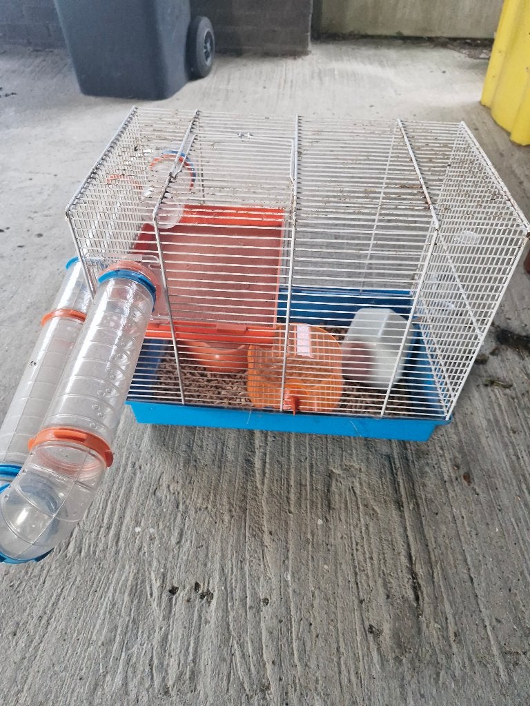 Hamsterkooi, Ophalen, Gebruikt, Kooi, Muis