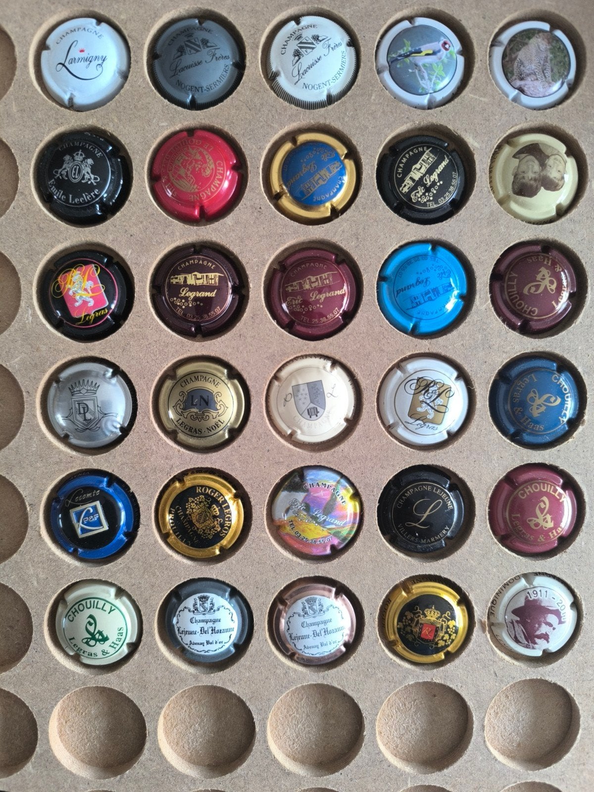 30 verschillende Champagne capsules met de letter L (12), Ophalen of Verzenden