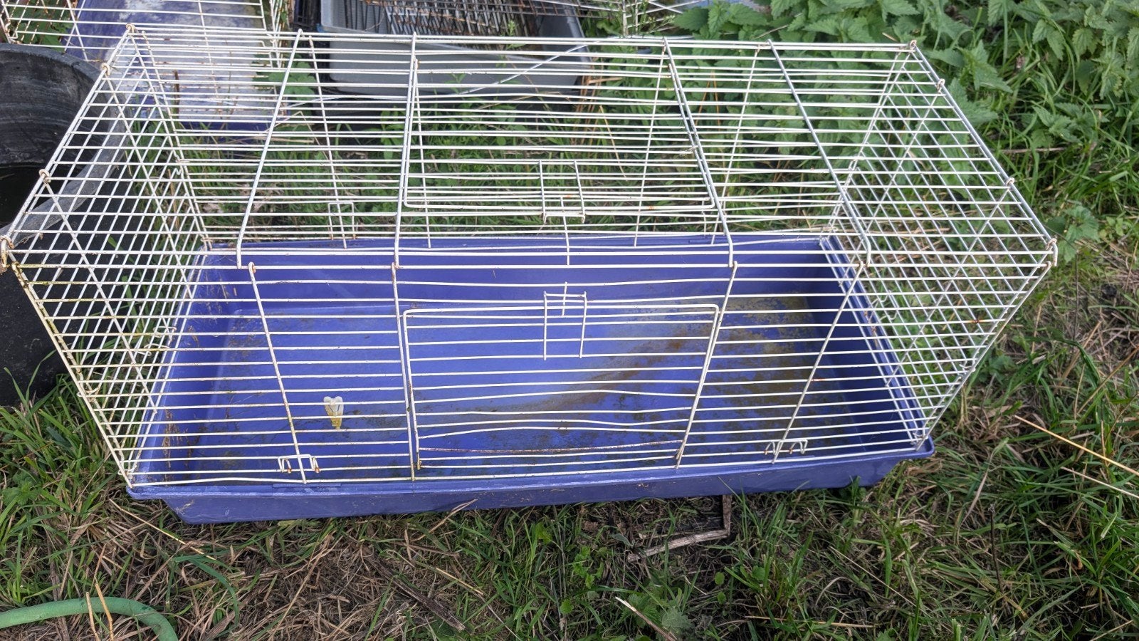 cage pour lapin, Enlèvement