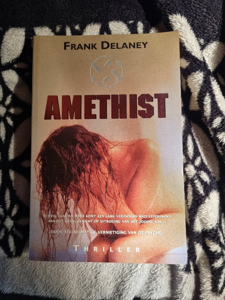 Boek Frank Delaney   -  Amethist, Livres, Thrillers, Enlèvement ou Envoi, Utilisé, Frank Delaney, Amérique